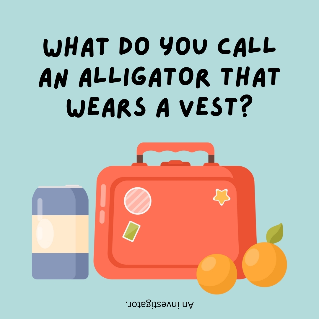 What do you call an alligator that wears a vest?

An investigator.- lunch box jokes