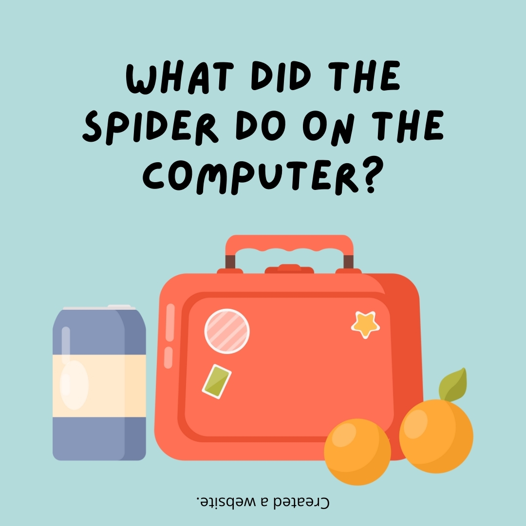 What did the spider do on the computer?

Created a website.