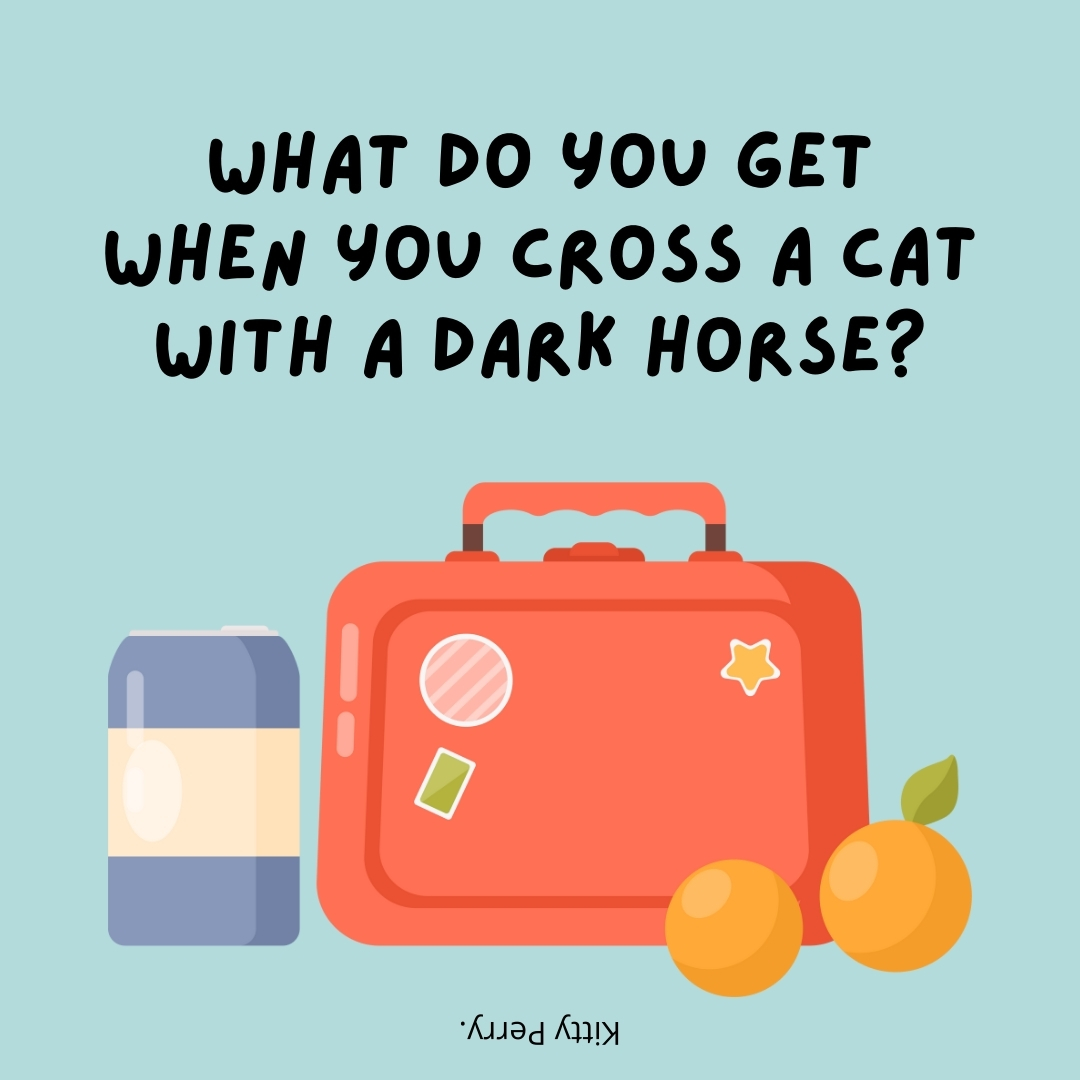 What do you get when you cross a cat with a dark horse?

Kitty Perry.