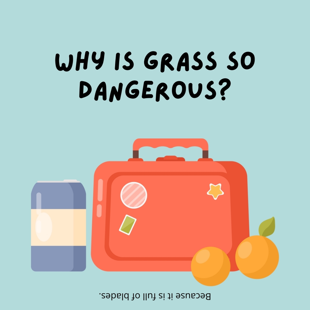 Why is grass so dangerous?

Because it is full of blades.- lunch box jokes