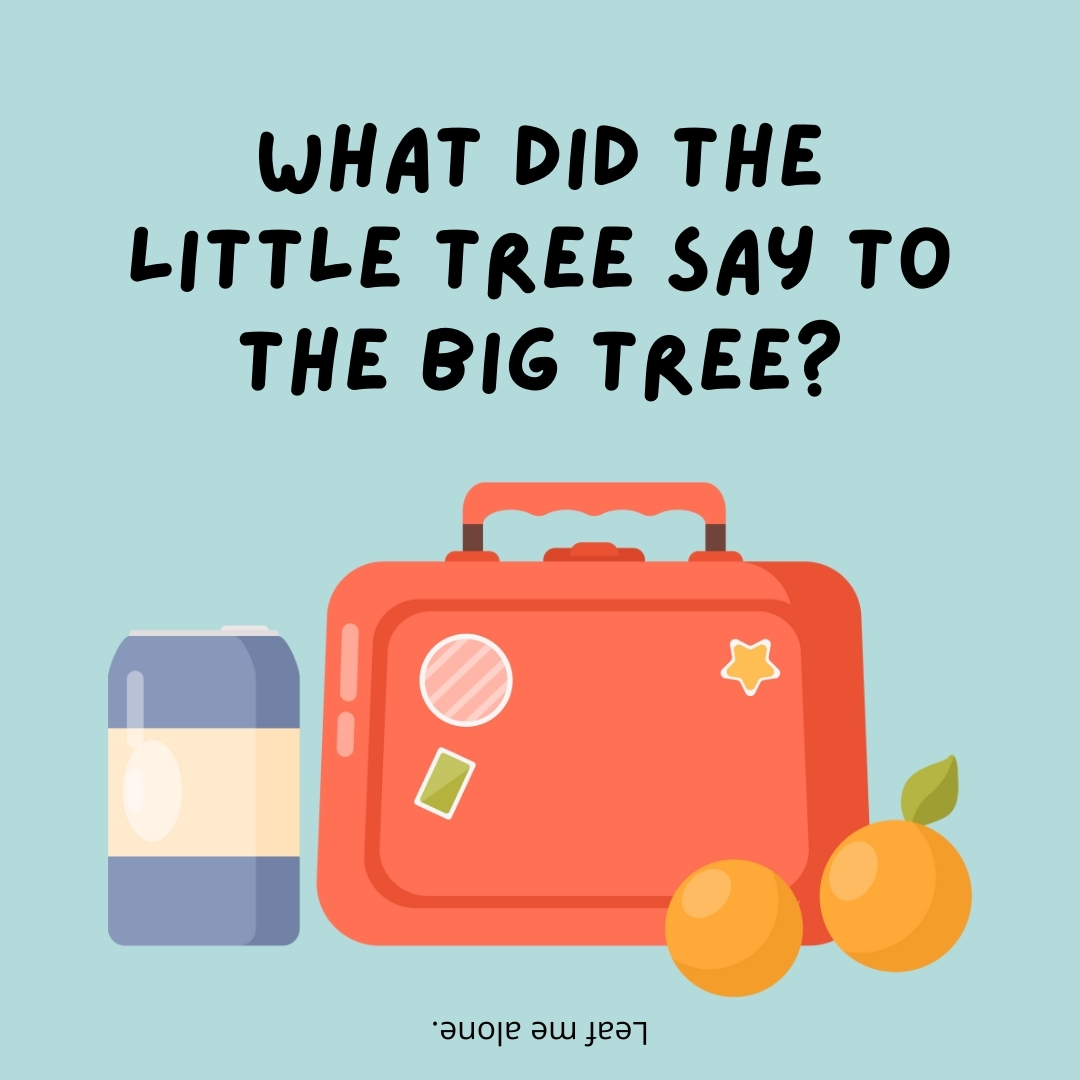 What did the little tree say to the big tree?

Leaf me alone.- lunch box jokes