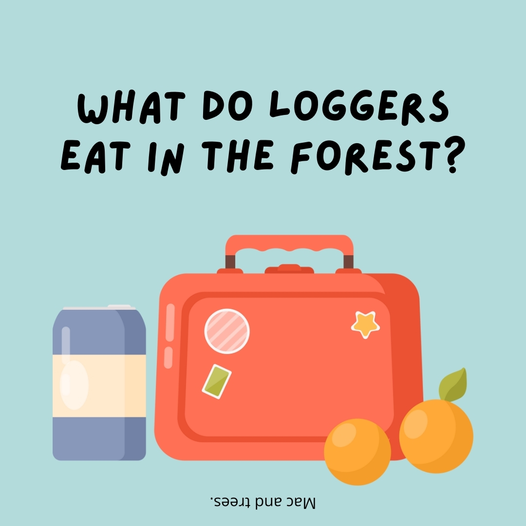 What do loggers eat in the forest?

Mac and trees.- lunch box jokes