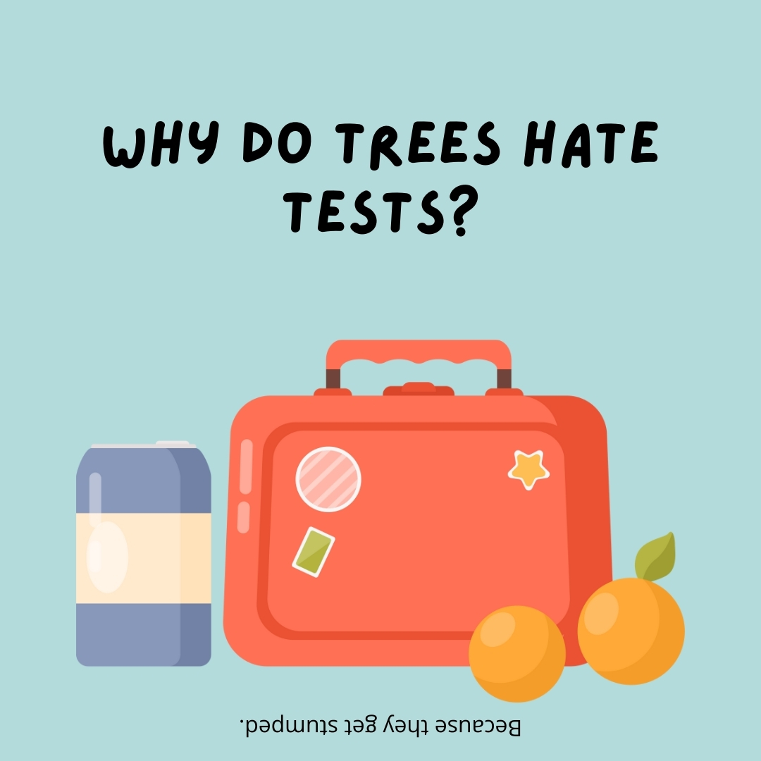 Why do trees hate tests?

Because they get stumped.