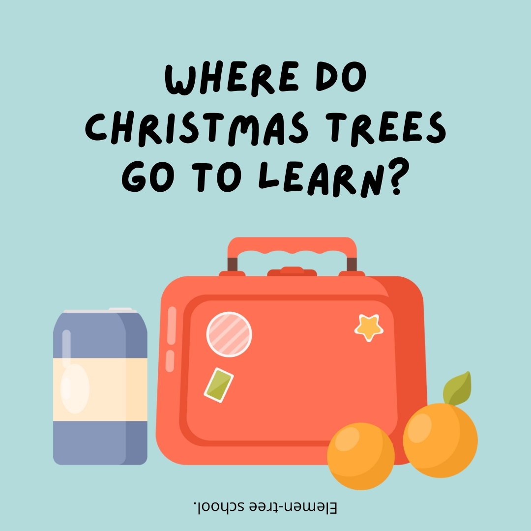 Where do Christmas trees go to learn?

Elemen-tree school.- lunch box jokes