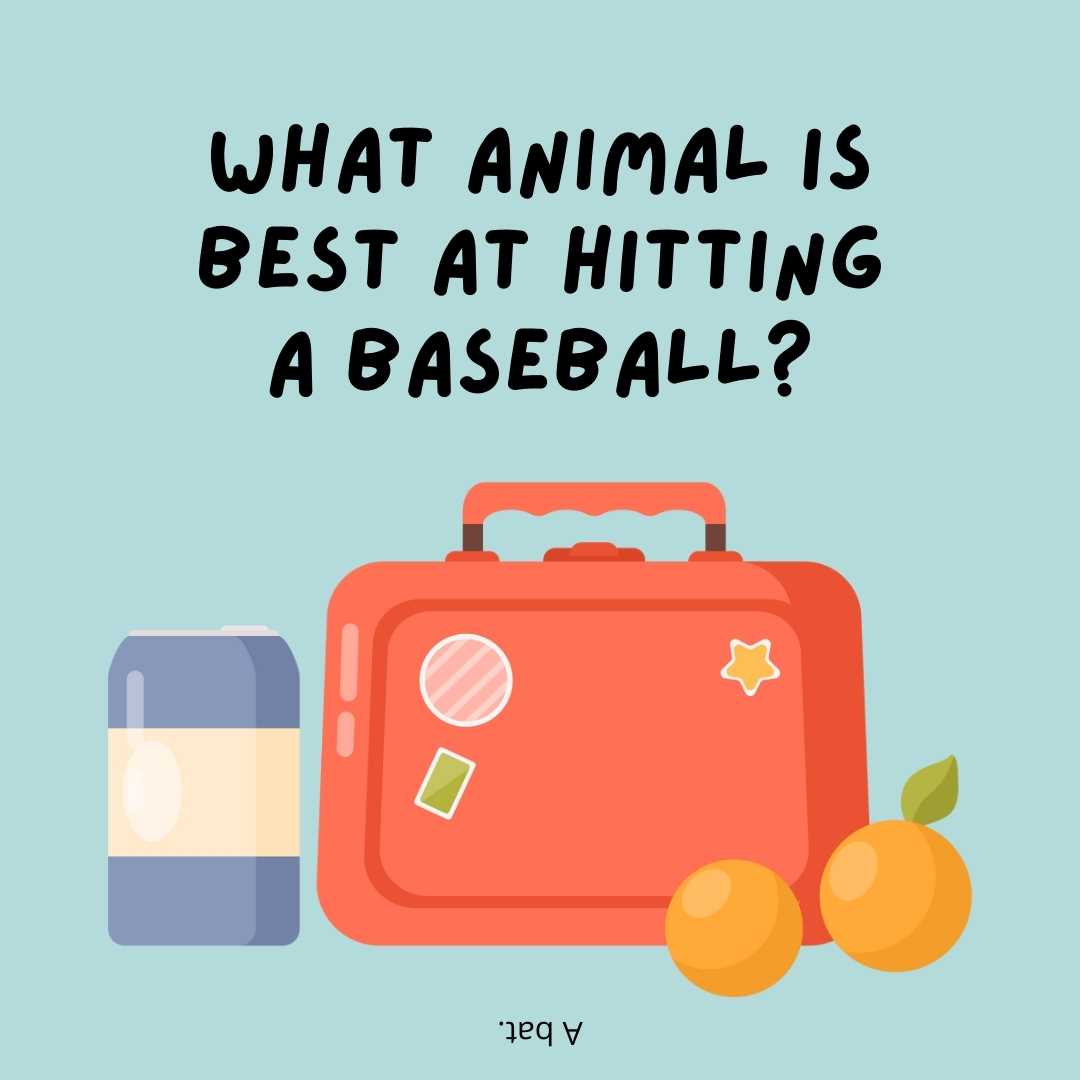 What animal is best at hitting a baseball?

A bat.