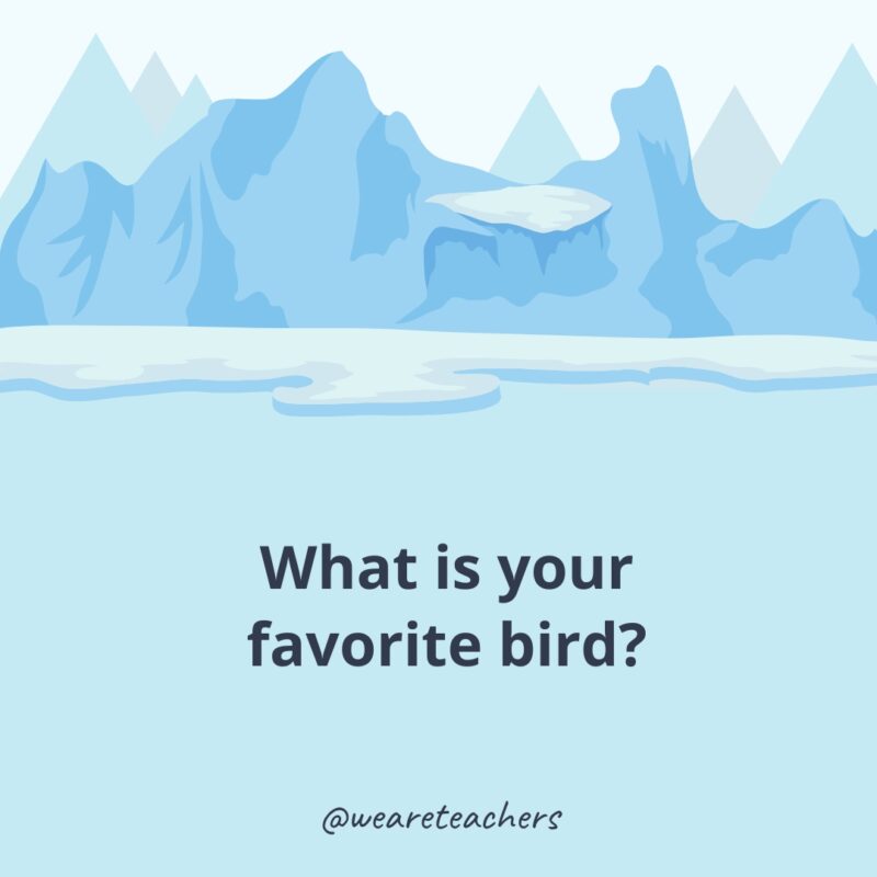What is your favorite bird? What is your favorite bird?