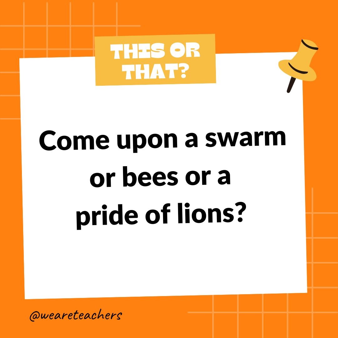 Come upon a swarm or bees or a pride of lions? Come upon a swarm or bees or a pride of lions?