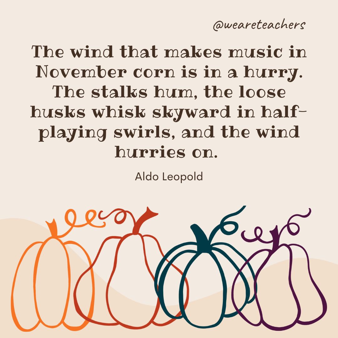 The wind that makes music in November corn is in a hurry. The stalks hum, the loose husks whisk skyward in half-playing swirls, and the wind hurries on.
