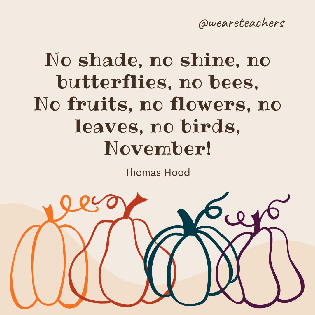 No shade, no shine, no butterflies, no bees,
No fruits, no flowers, no leaves, no birds,
November!