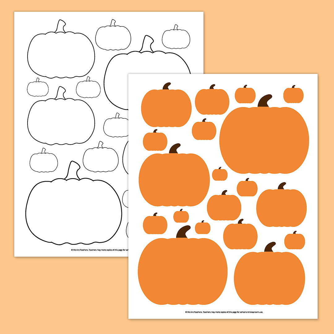 Pumpkins in Different Sizes Pumpkins in Different Sizes