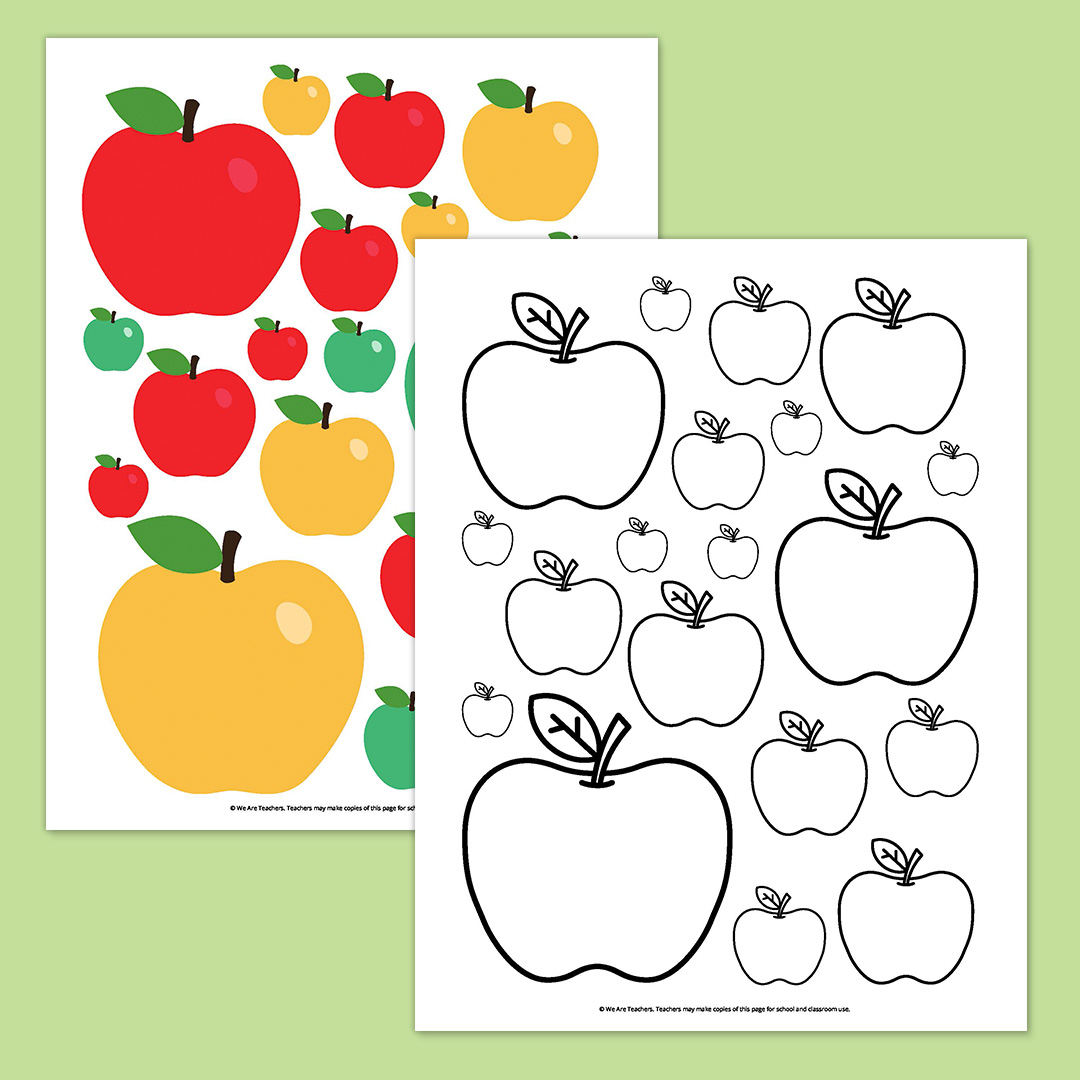 Apples in Different Sizes Apples in Different Sizes