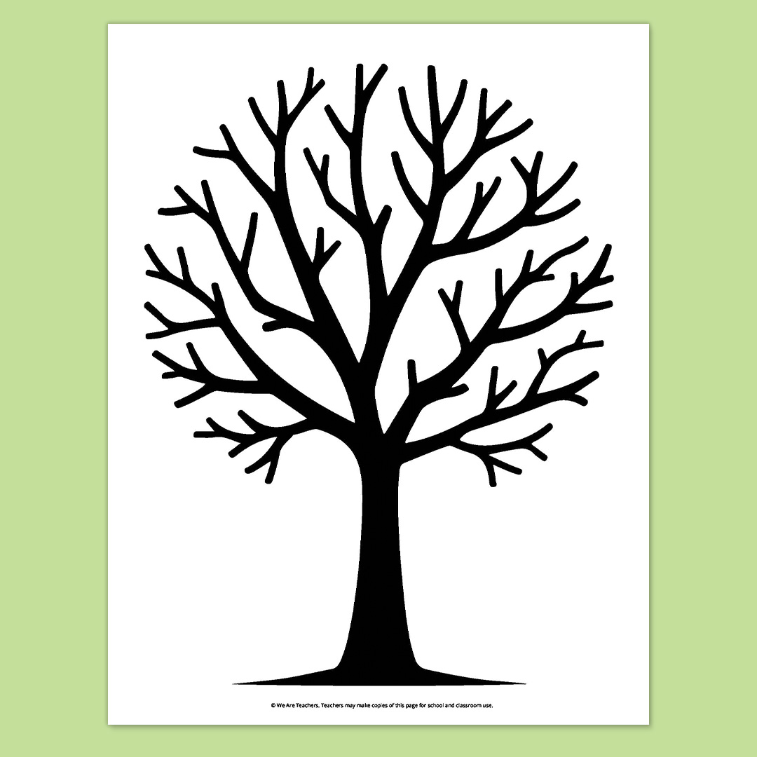 Apple Tree Trunk Apple Tree Trunk