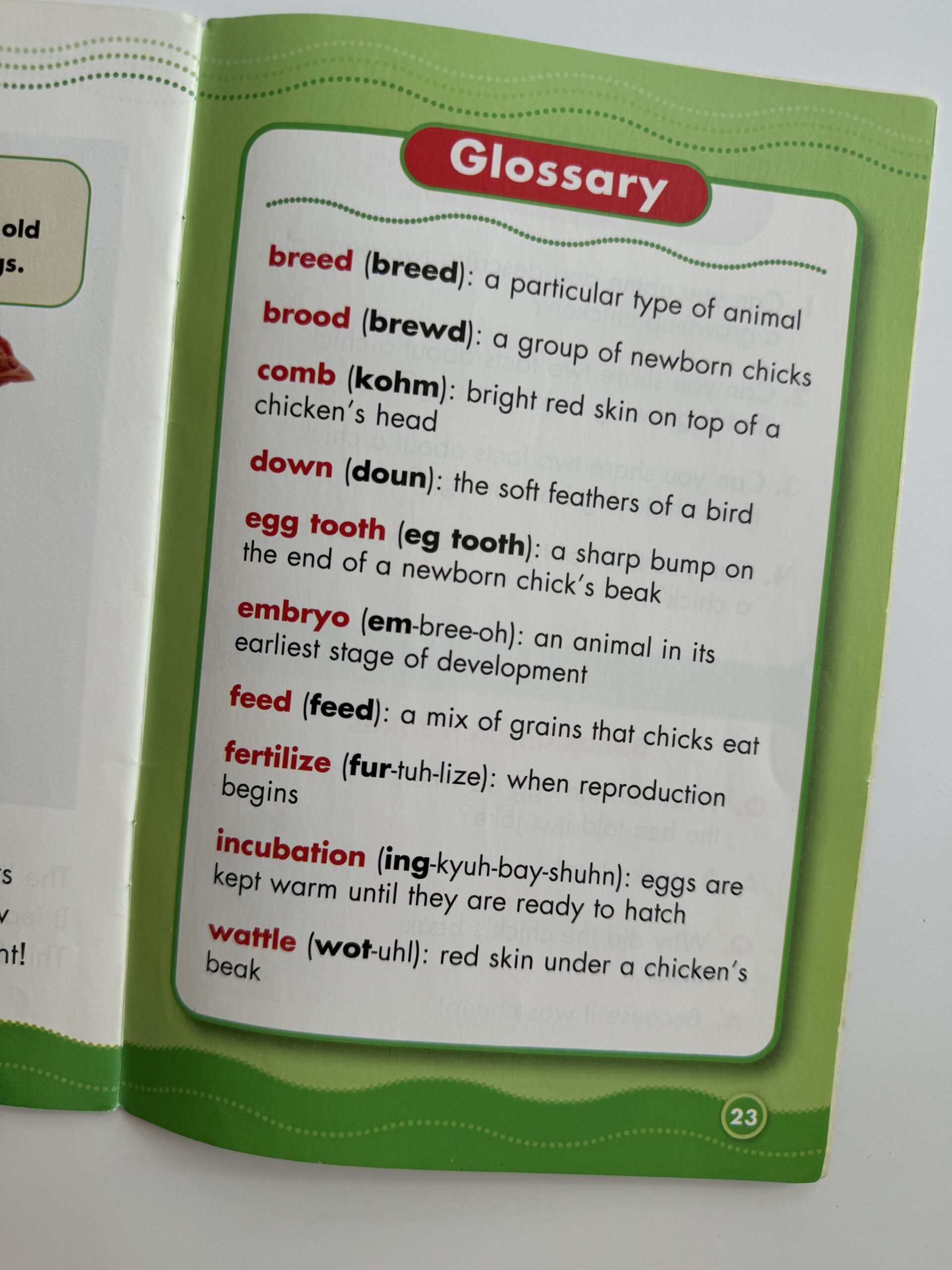 Glossary Glossary as example of nonfiction text features