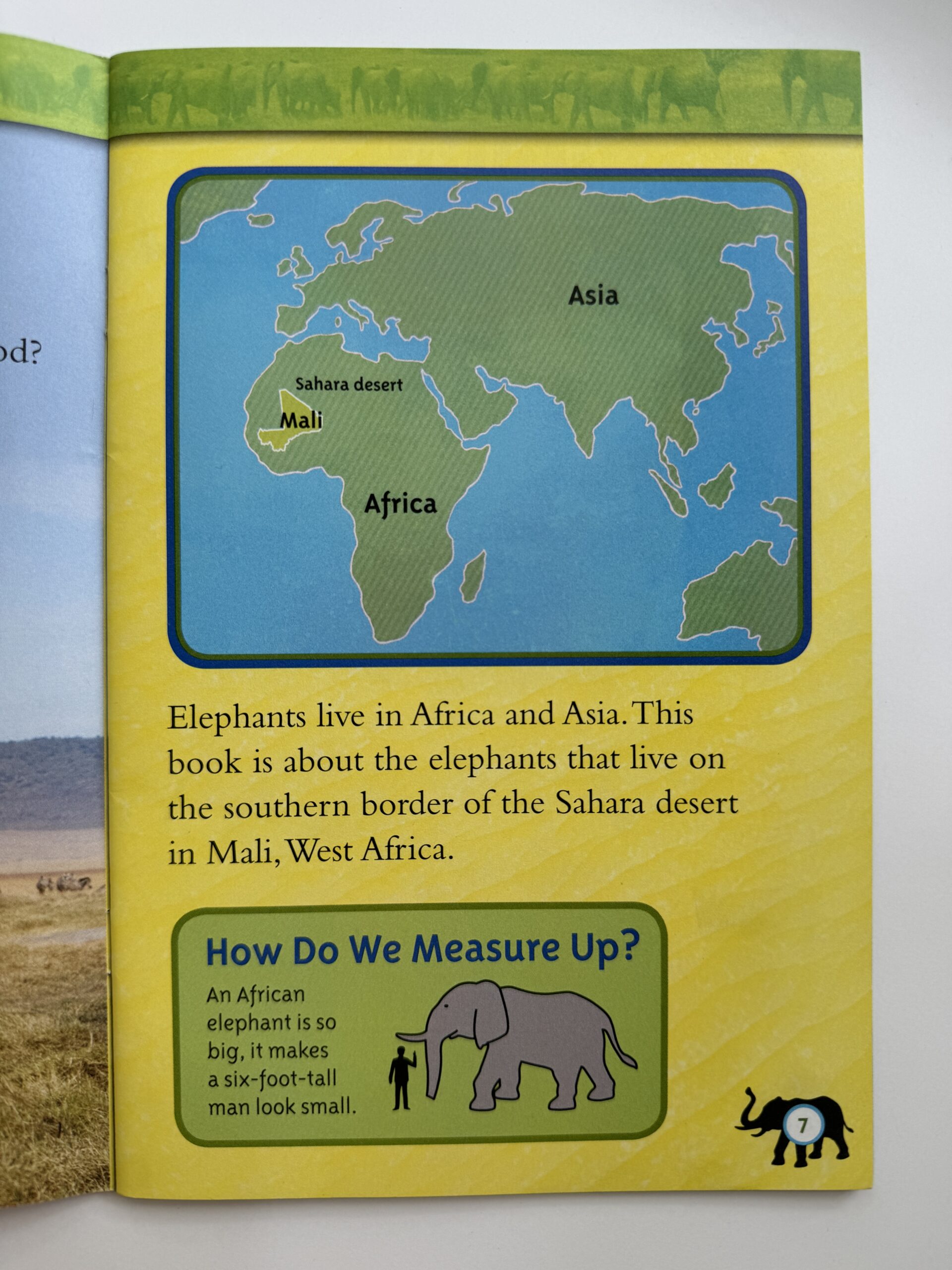 Maps Example of map text feature in nonfiction children's book.