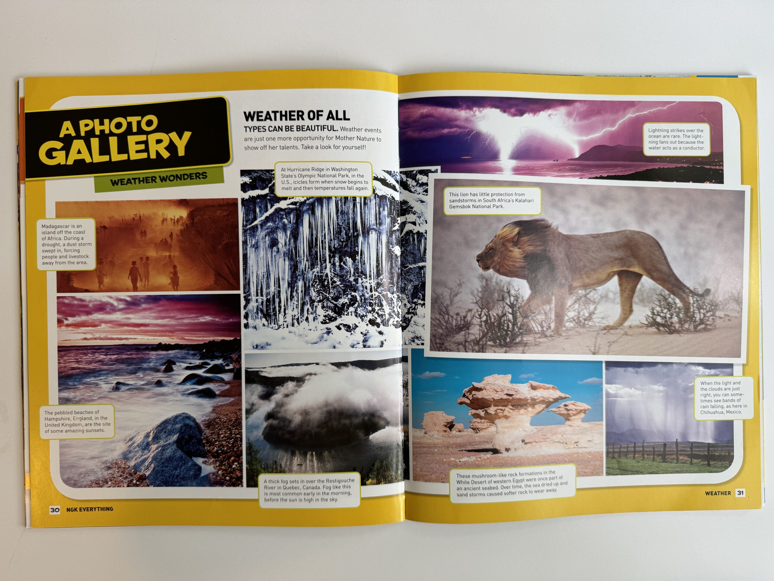Photos Example of photos as a text feature in nonfiction children's book.