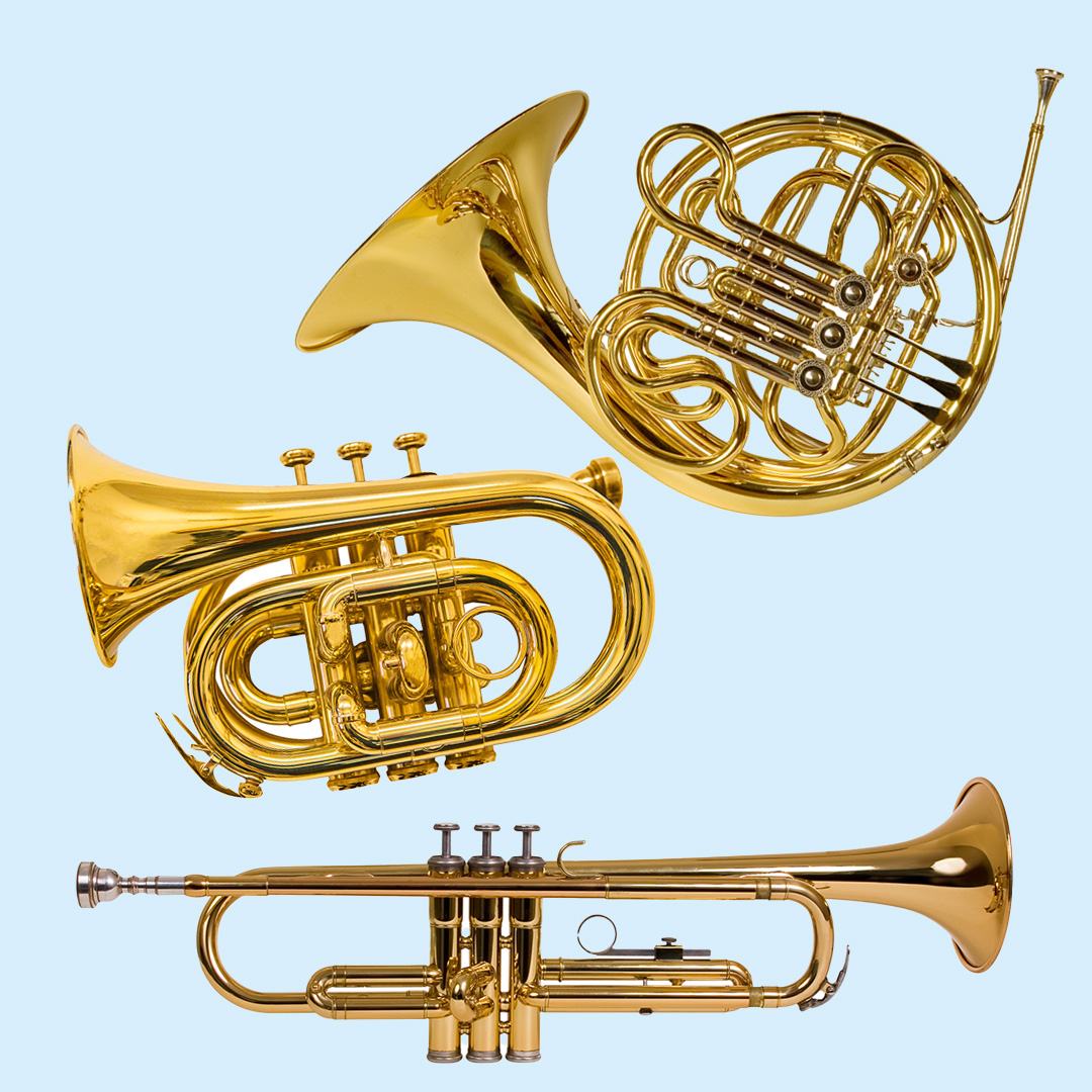 Types of musical Instruments brass