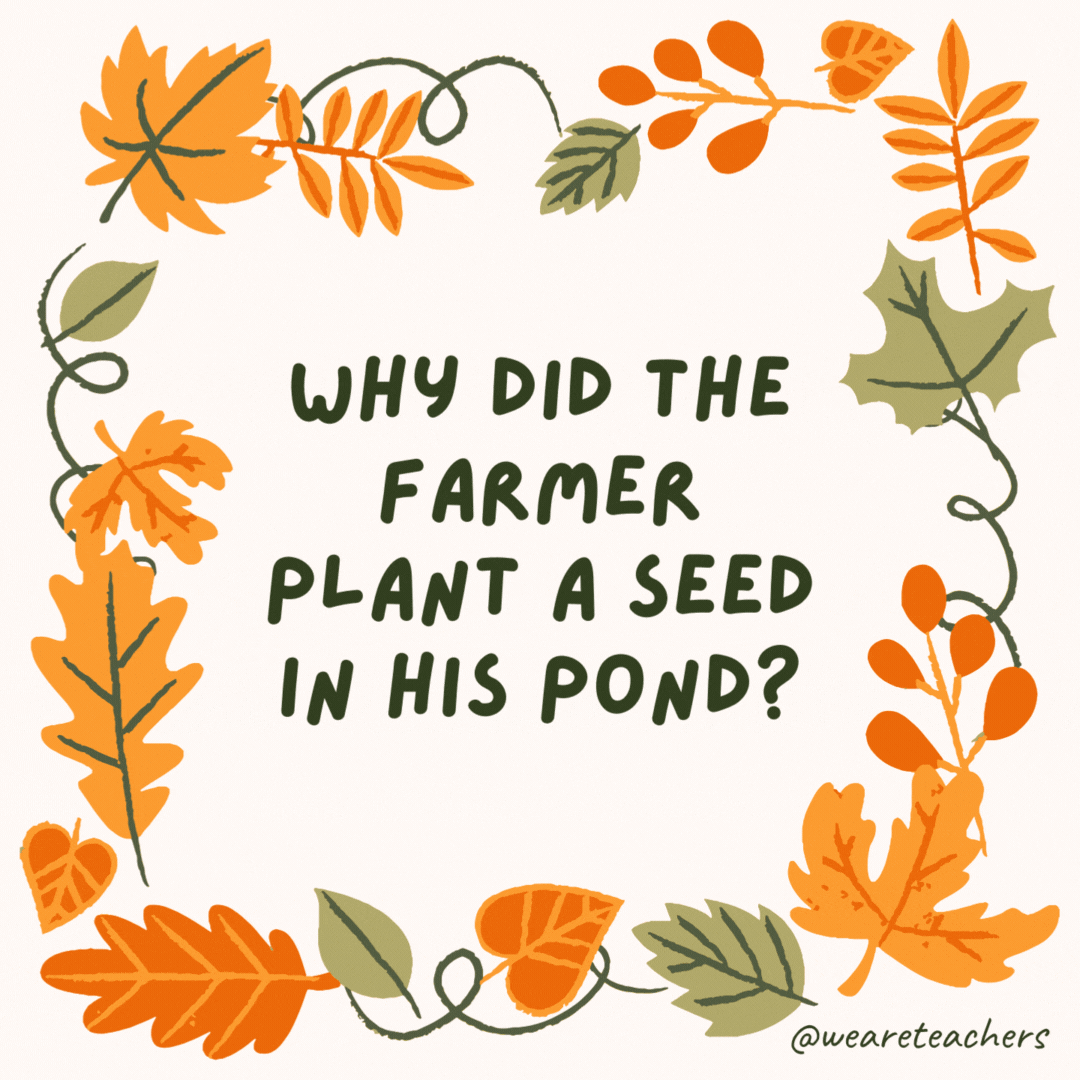 Why did the farmer plant a seed in his pond? He was trying to grow a water-melon. Why did the farmer plant a seed in his pond?
He was trying to grow a water-melon.