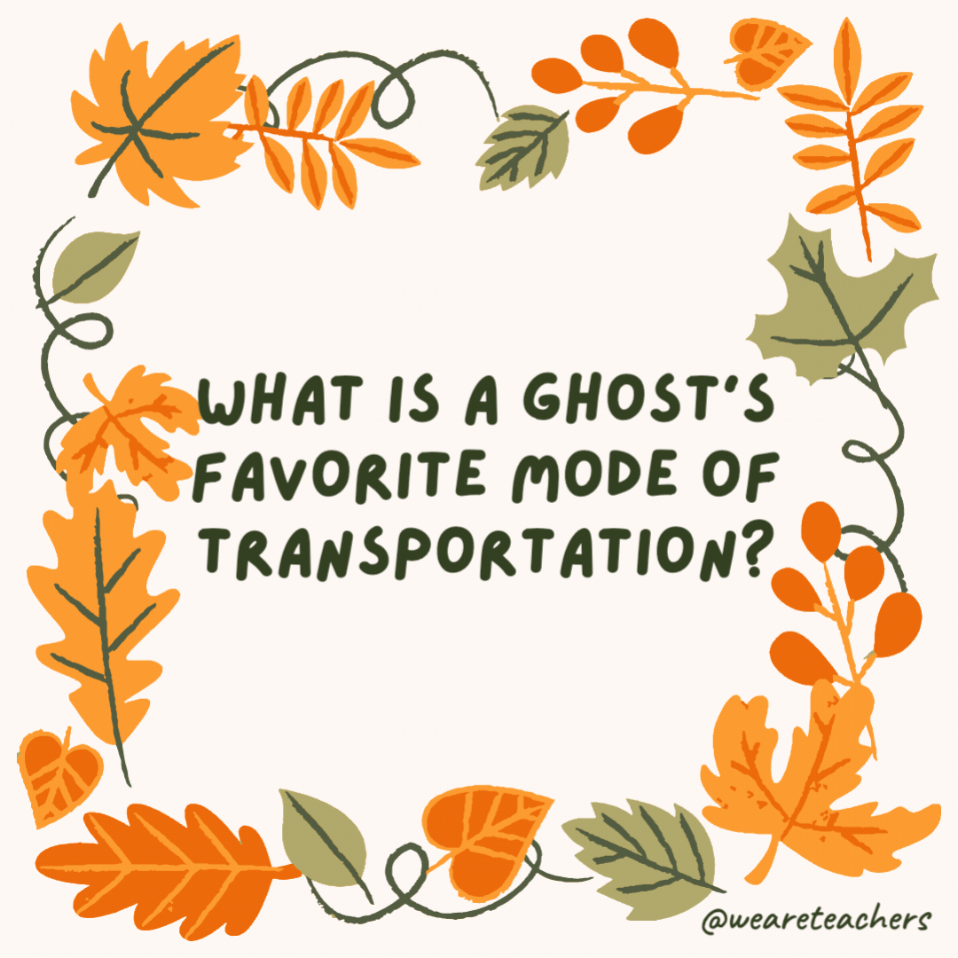 What is a ghost’s favorite mode of transportation? A scare-plane. What is a ghost's favorite mode of transportation?
A scare-plane.