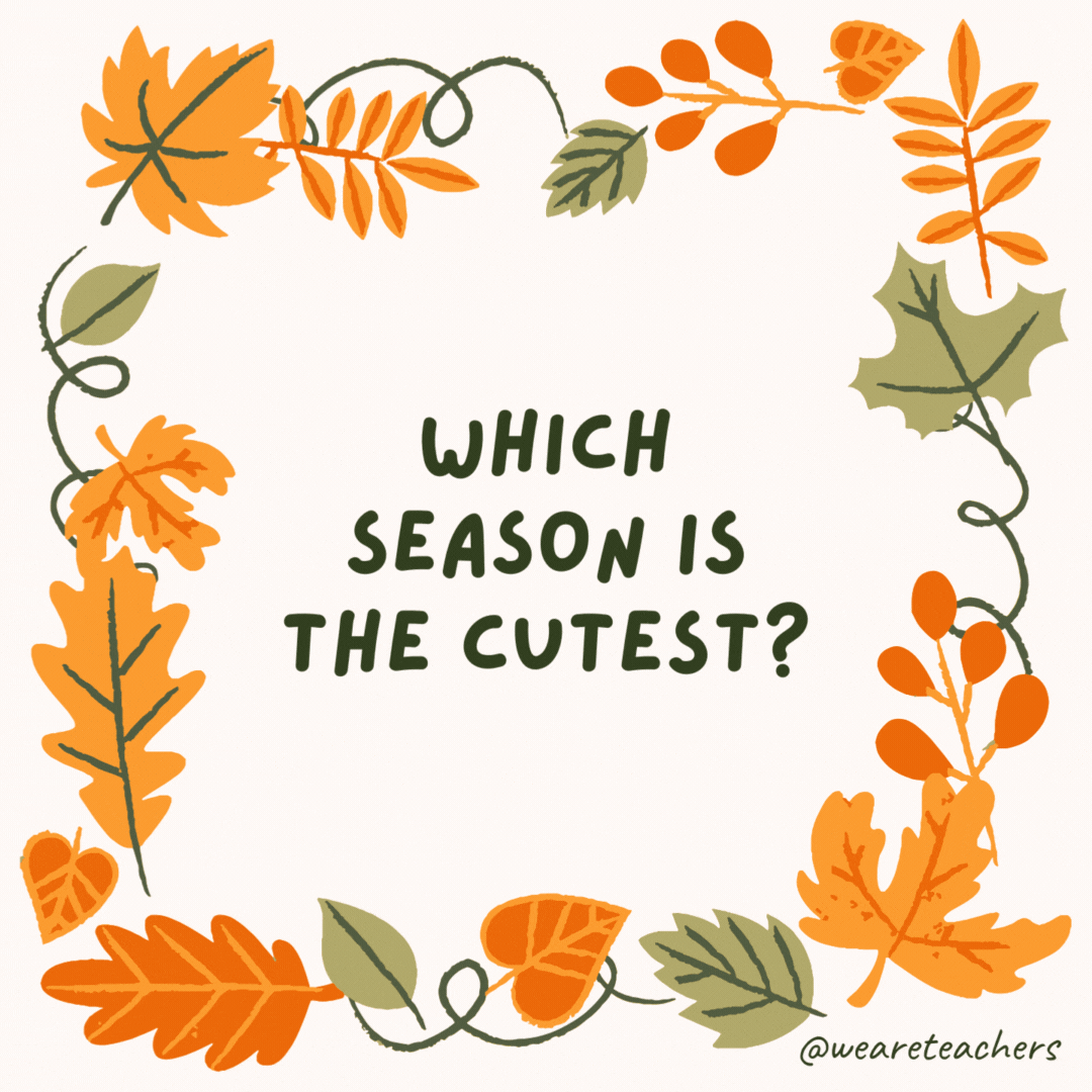 Which season is the cutest? Aww-tumn. Which season is the cutest?
Aww-tumn.