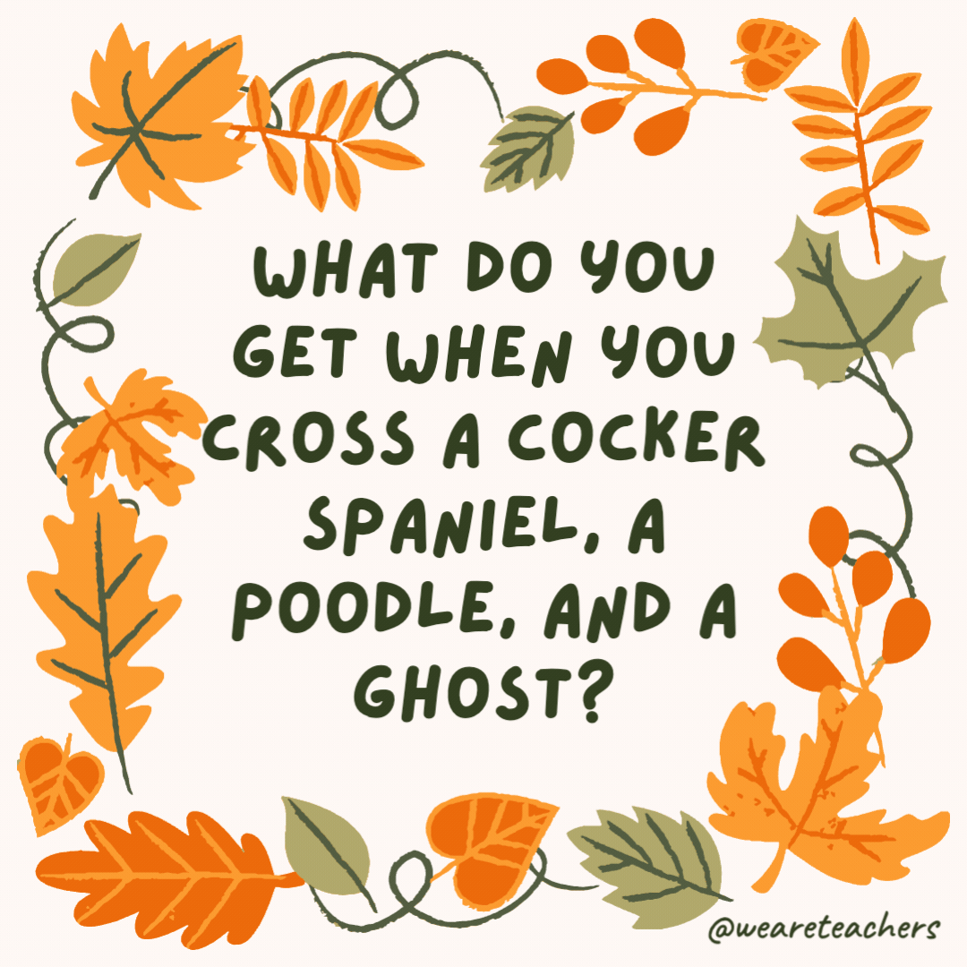 What do you get when you cross a cocker spaniel, a poodle, and a ghost? A cocker poodle boo! What do you get when you cross a cocker spaniel, a poodle, and a ghost?
A cocker poodle boo!