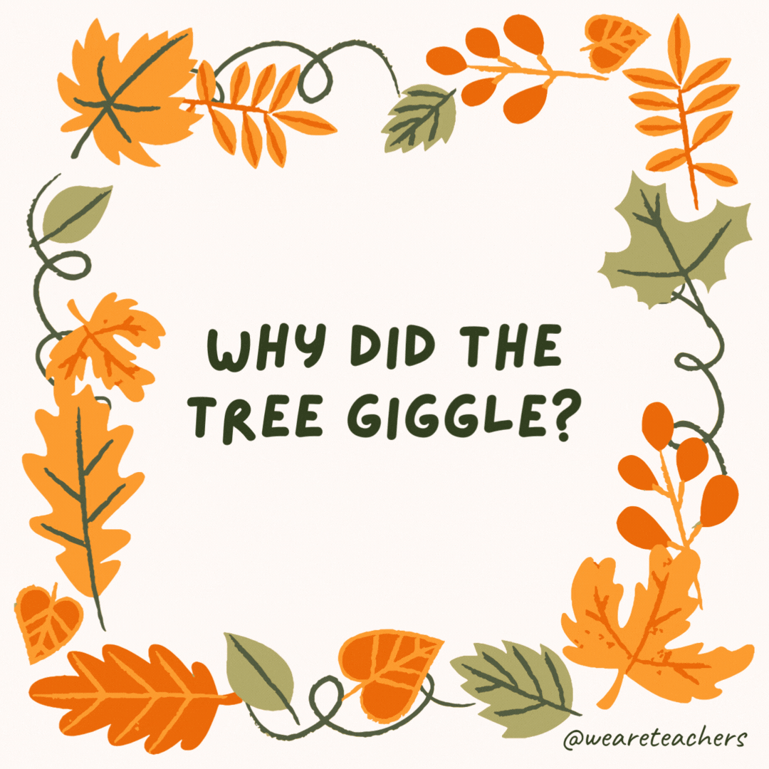 Why did the tree giggle? It heard acorn-y joke. Why did the tree giggle?
It heard acorn-y joke.