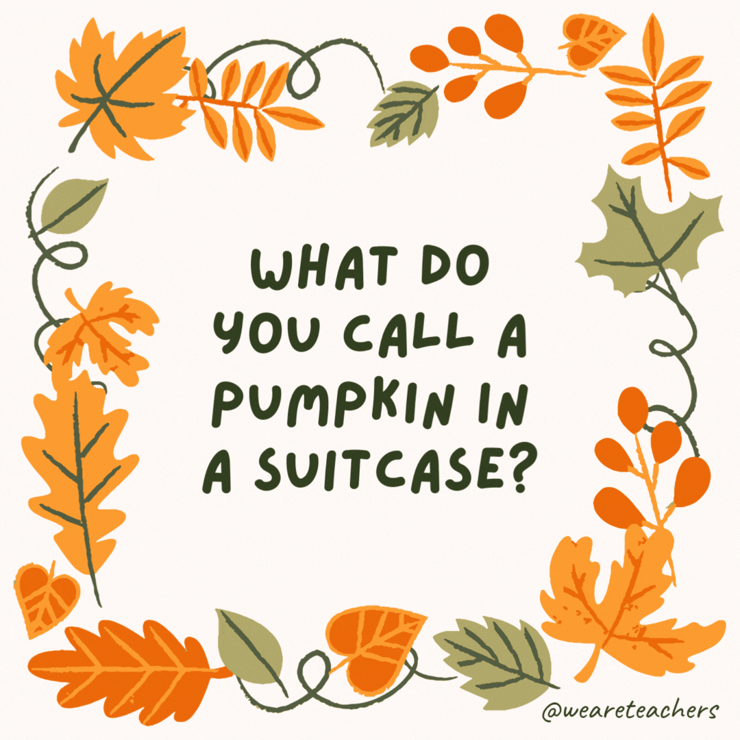 What do you call a pumpkin in a suitcase? A pack-o’-lantern. What do you call a pumpkin in a suitcase?
A pack-o’-lantern.