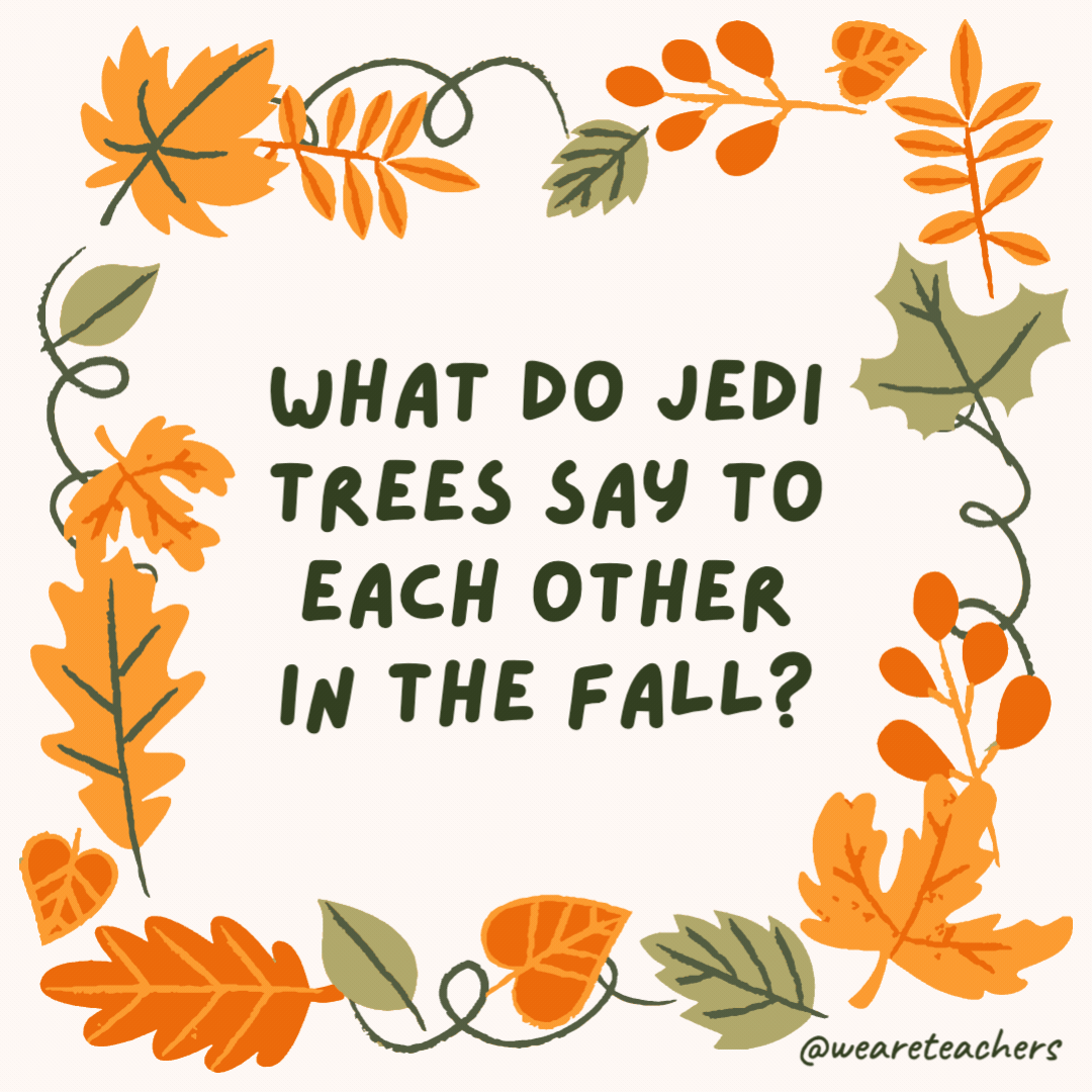 What do Jedi trees say to each other in the fall? “May the forest be with you.” What do Jedi trees say to each other in the fall?