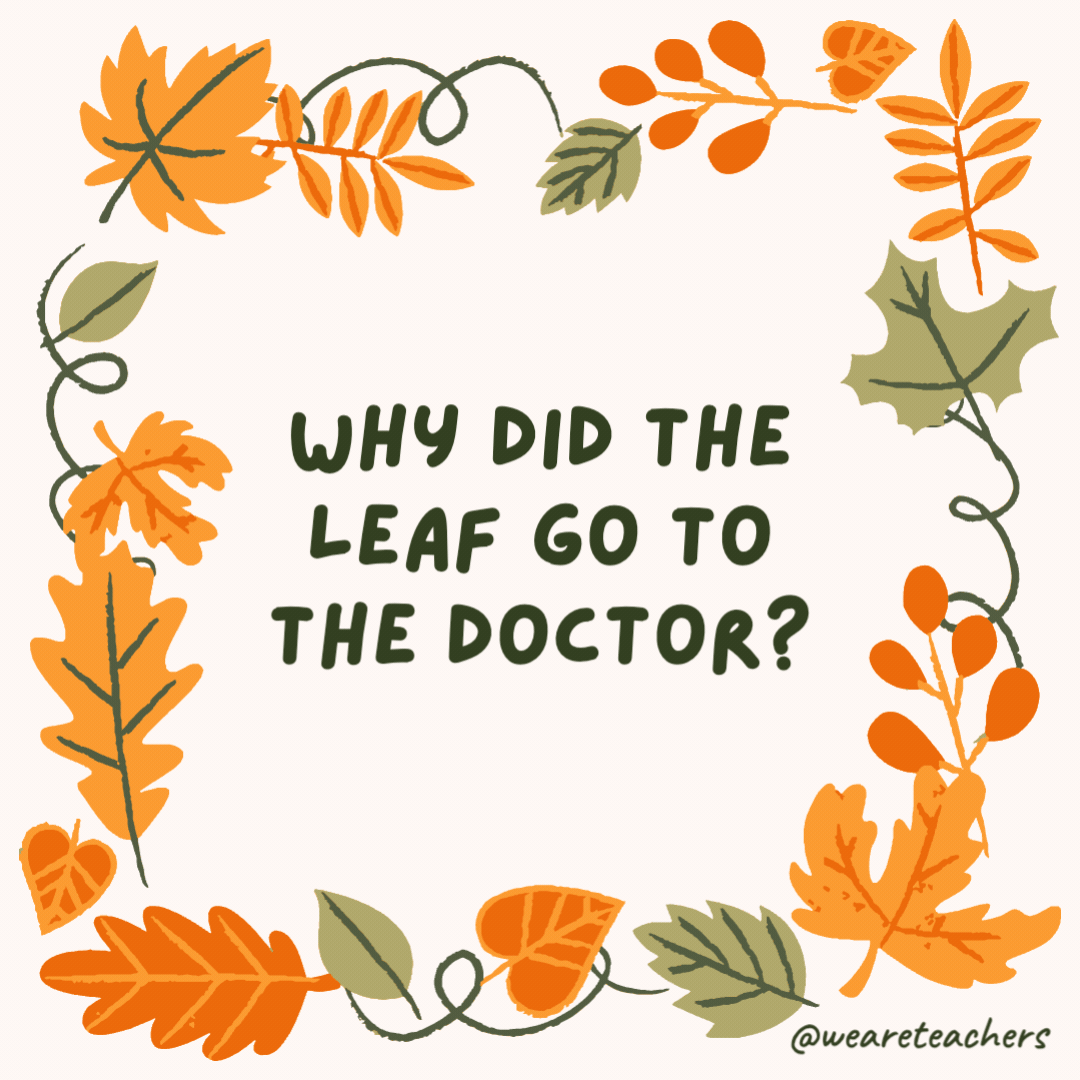 Why did the leaf go to the doctor? It was feeling a bit crumby. Why did the leaf go to the doctor?
It was feeling a bit crumby.