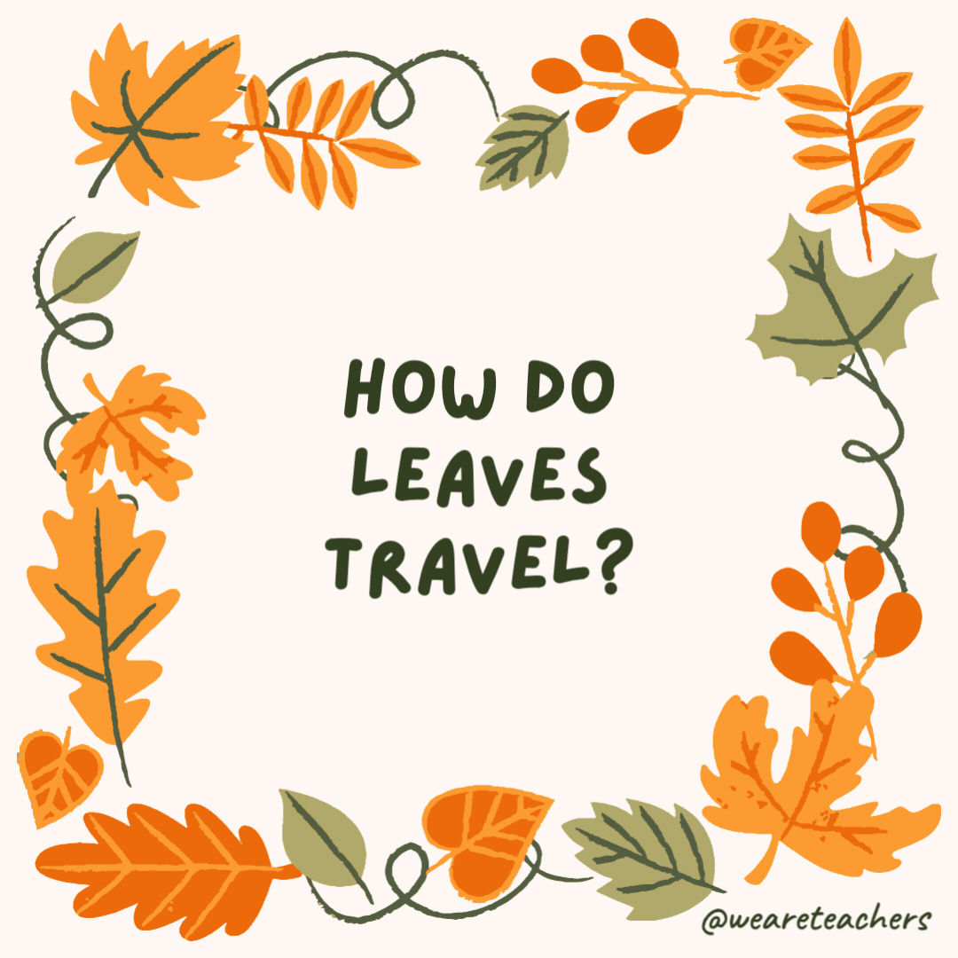 How do leaves travel? They use the autumn-mobile. How do leaves travel?
They use the autumn-mobile.- fall jokes