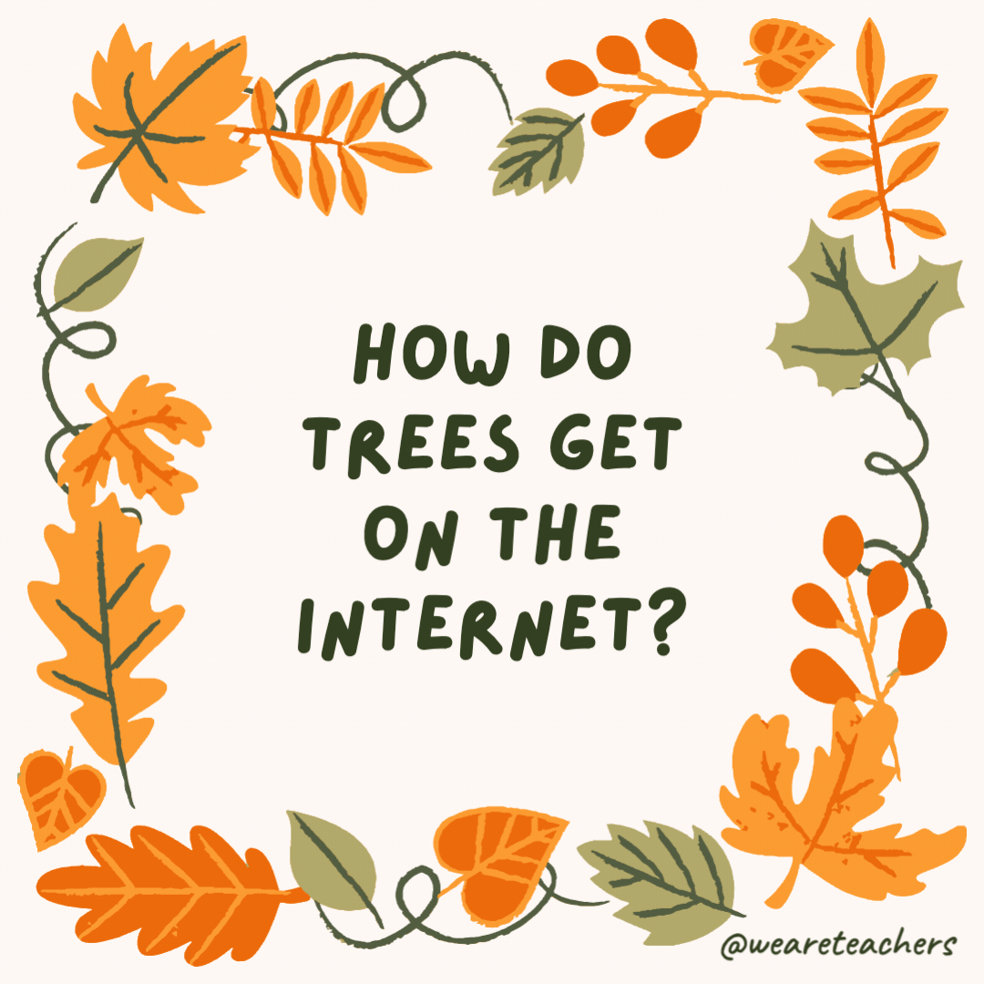 How do trees get on the Internet? They log on. How do trees get on the Internet?
They log on.