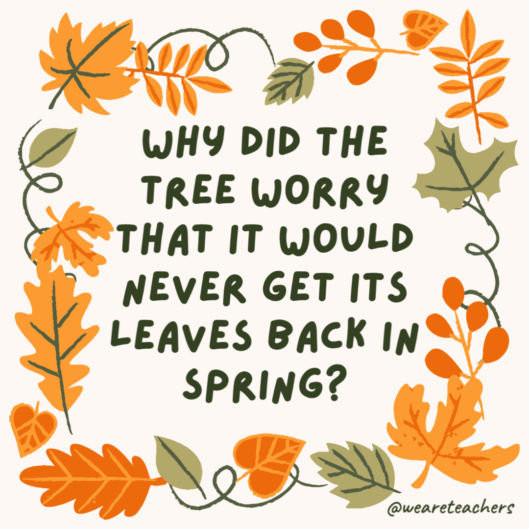Why did the tree worry that it would never get its leaves back in spring? It couldn’t be-leaf it. Why did the tree worry that it would never get its leaves back in spring?
It couldn’t be-leaf it.- fall jokes