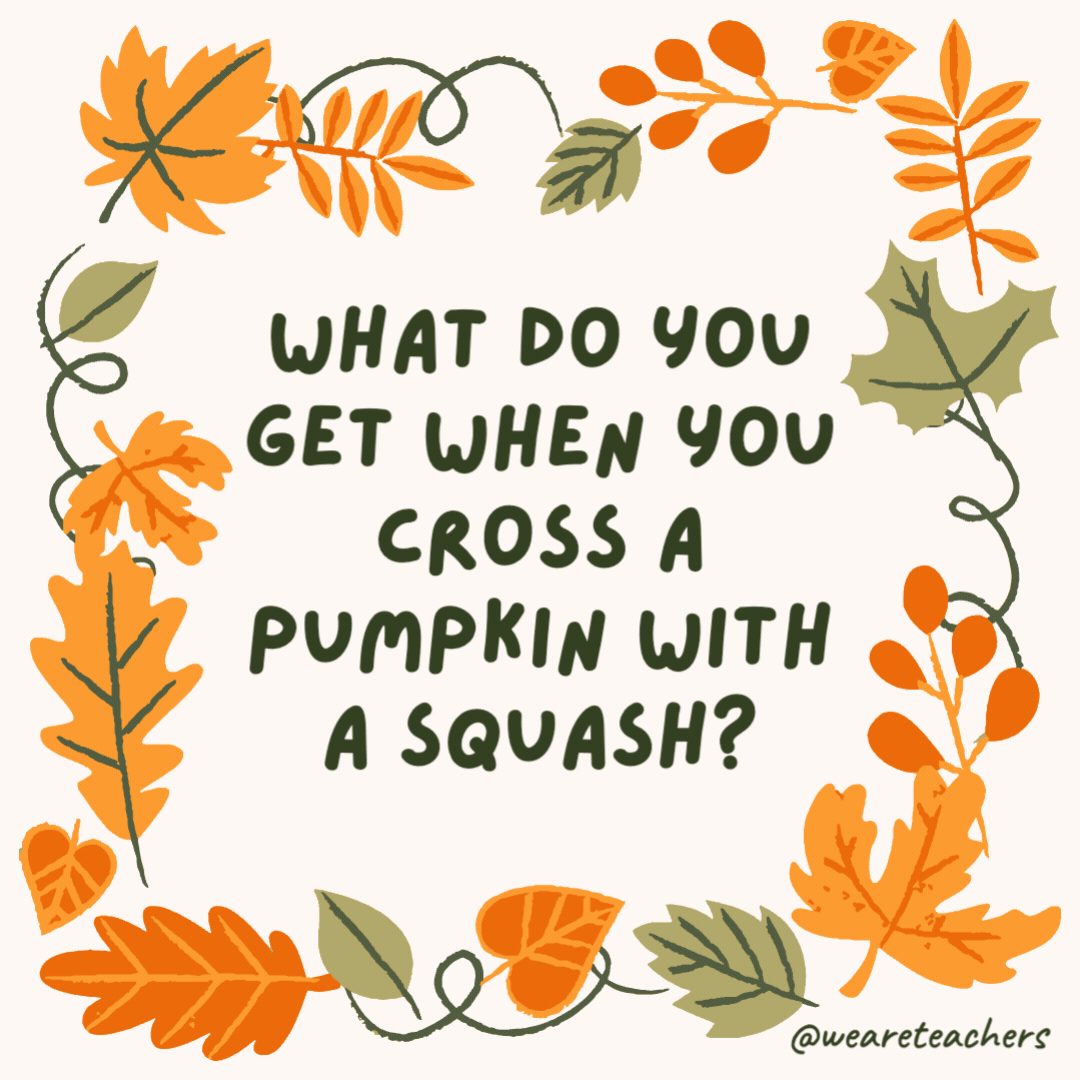 What do you get when you cross a pumpkin with a squash? A squashed pumpkin pie. What do you get when you cross a pumpkin with a squash?
A squashed pumpkin pie.