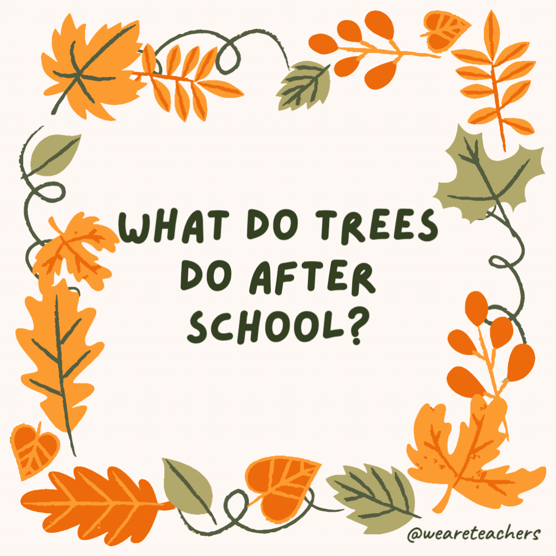 What do trees do after school? Their leaf-work. What do trees do after school?
Their leaf-work.
