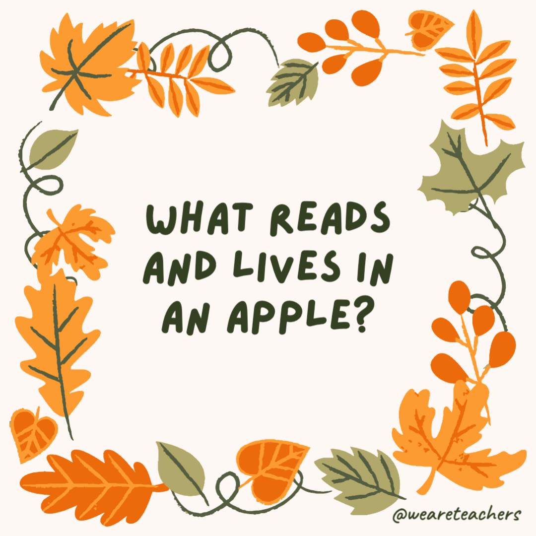 What reads and lives in an apple? A bookworm. What reads and lives in an apple?
A bookworm.- fall jokes