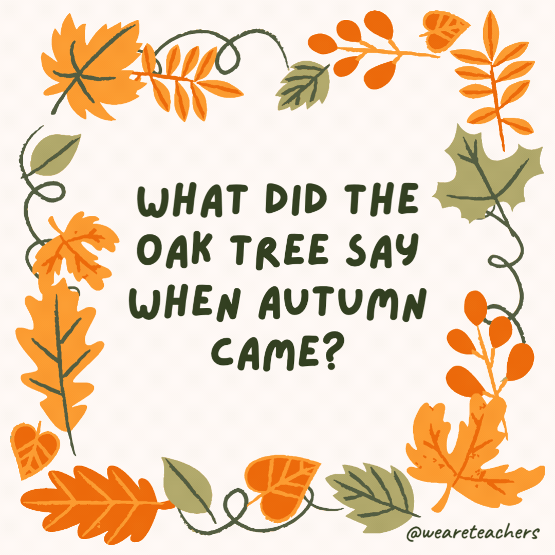 What did the oak tree say when autumn came? “I’m gonna leaf now!” What did the oak tree say when autumn came?