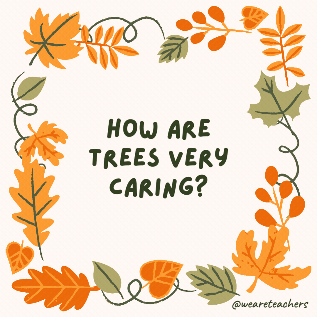 How are trees very caring? They are always looking out for their roots. How are trees very caring?
They are always looking out for their roots.- fall jokes
