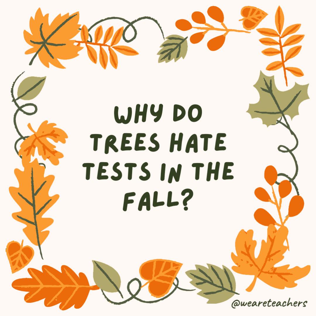 . Why do trees hate tests in the fall? Because they get stumped by the questions. . Why do trees hate tests in the fall?
Because they get stumped by the questions.- fall jokes