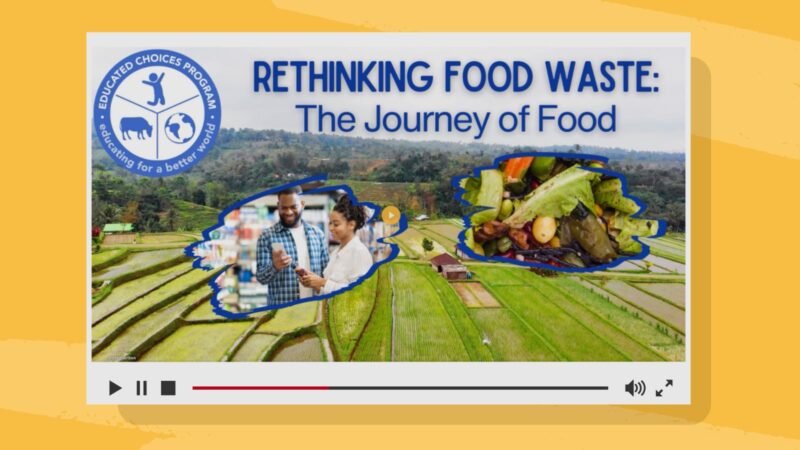 Rethinking Food Waste Rethinking food waste
