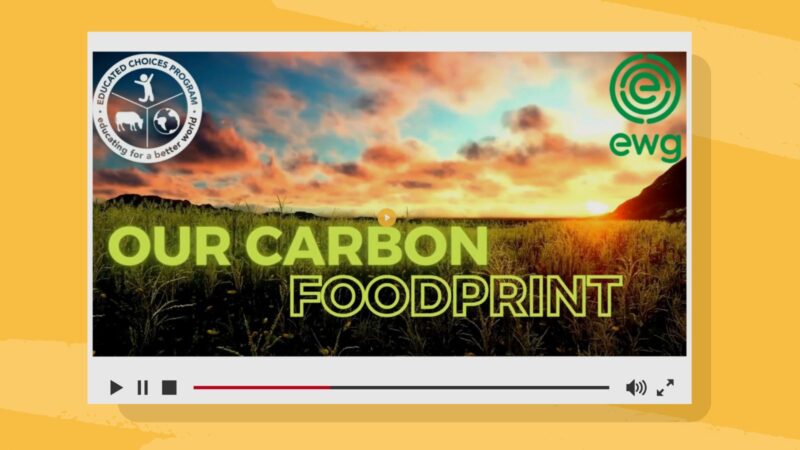 Our Carbon Footprint Our carbon footprint nutrition education