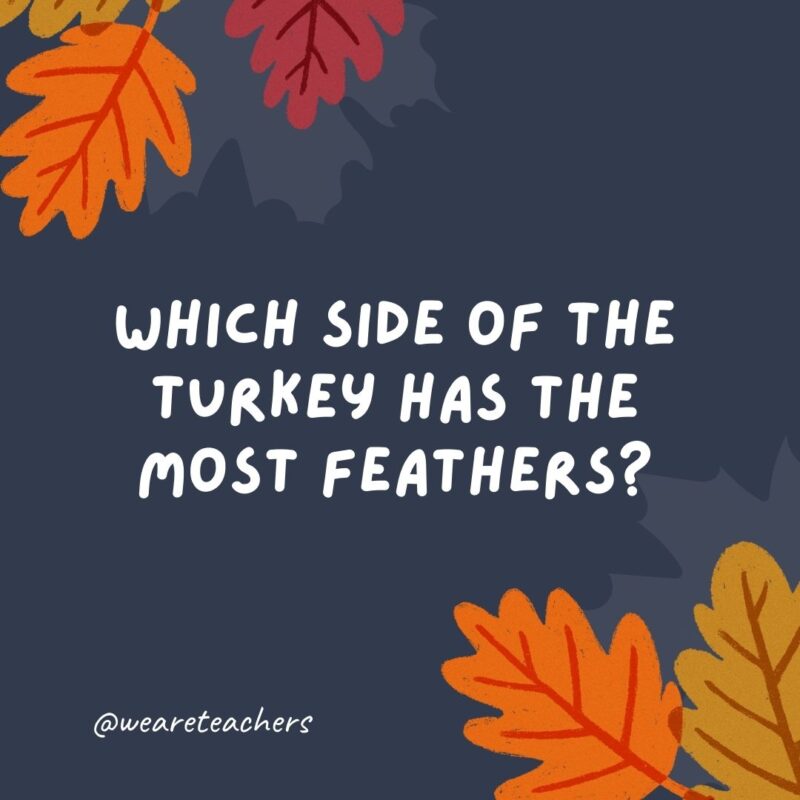 Which side of the turkey has the most feathers? Which side of the turkey has the most feathers?