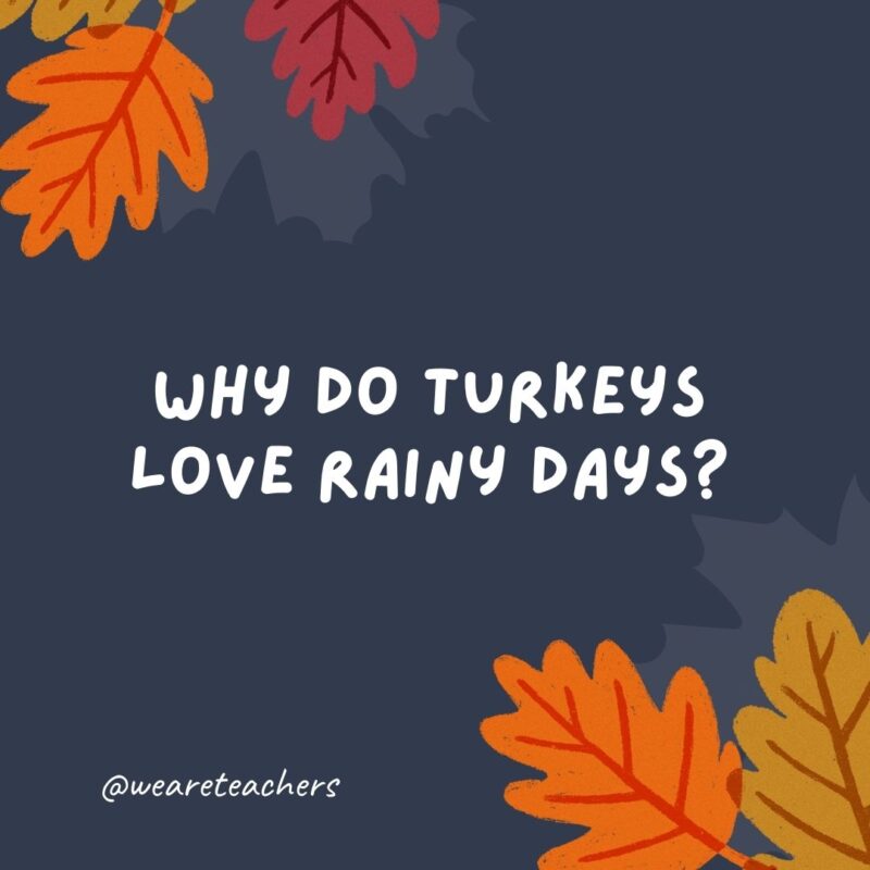 Why do turkeys love rainy days? Why do turkeys love rainy days?