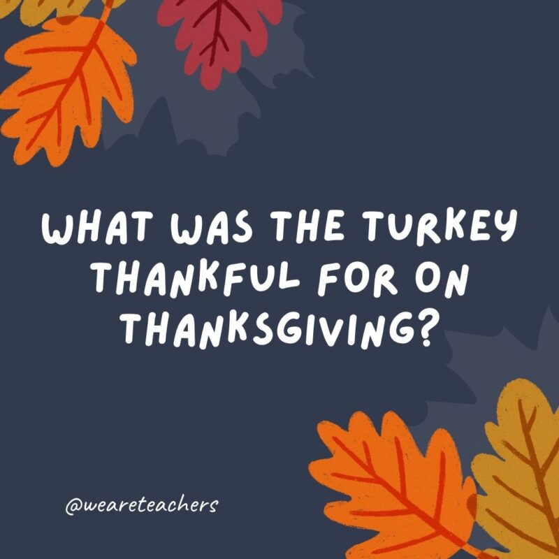 What was the turkey thankful for on Thanksgiving? Vegetarians. What was the turkey thankful for on Thanksgiving? Vegetarians.