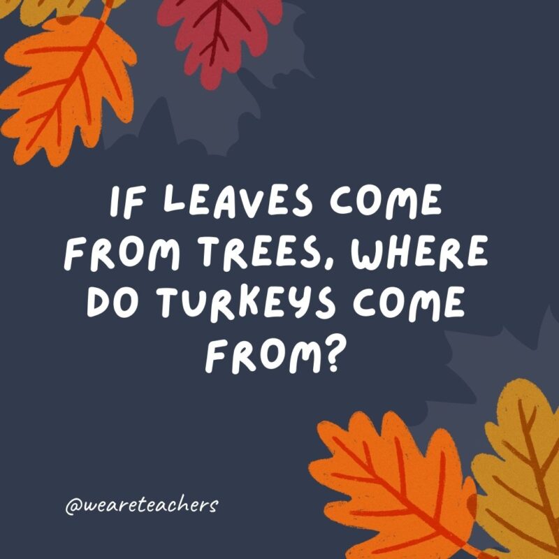 If leaves come from trees, where do turkeys come from? Poultries. -thanksgiving jokes If leaves come from trees, where do turkeys come from? Poultries. -thanksgiving jokes