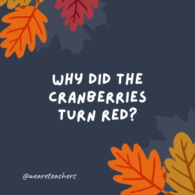Why did the cranberries turn red? Because they saw the turkey dressing. Why did the cranberries turn red? Because they saw the turkey dressing.