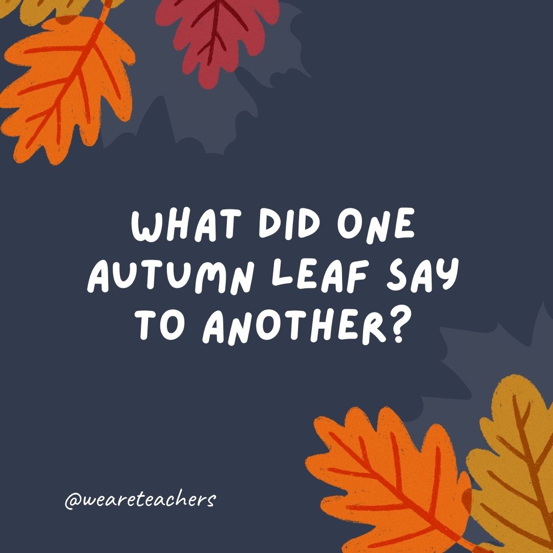 What did one autumn leaf say to another? What did one autumn leaf say to another?
