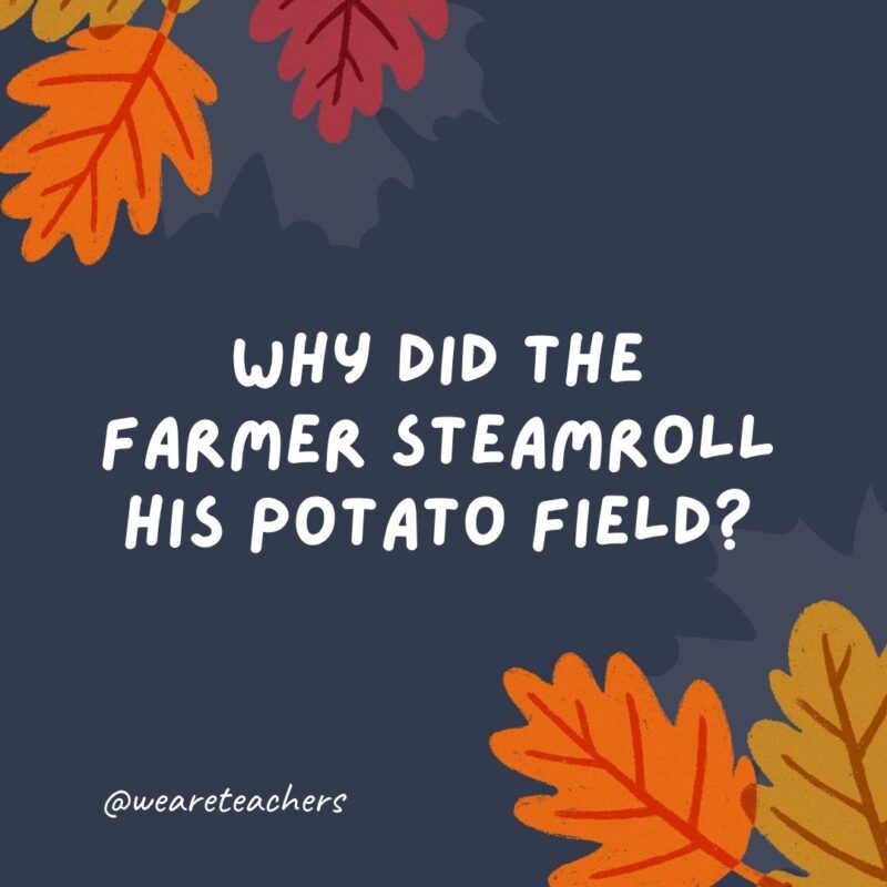 Why did the farmer steamroll his potato field? He wanted mashed potatoes. – thanksgiving jokes for kids. Why did the farmer steamroll his potato field? He wanted mashed potatoes. - thanksgiving jokes for kids.