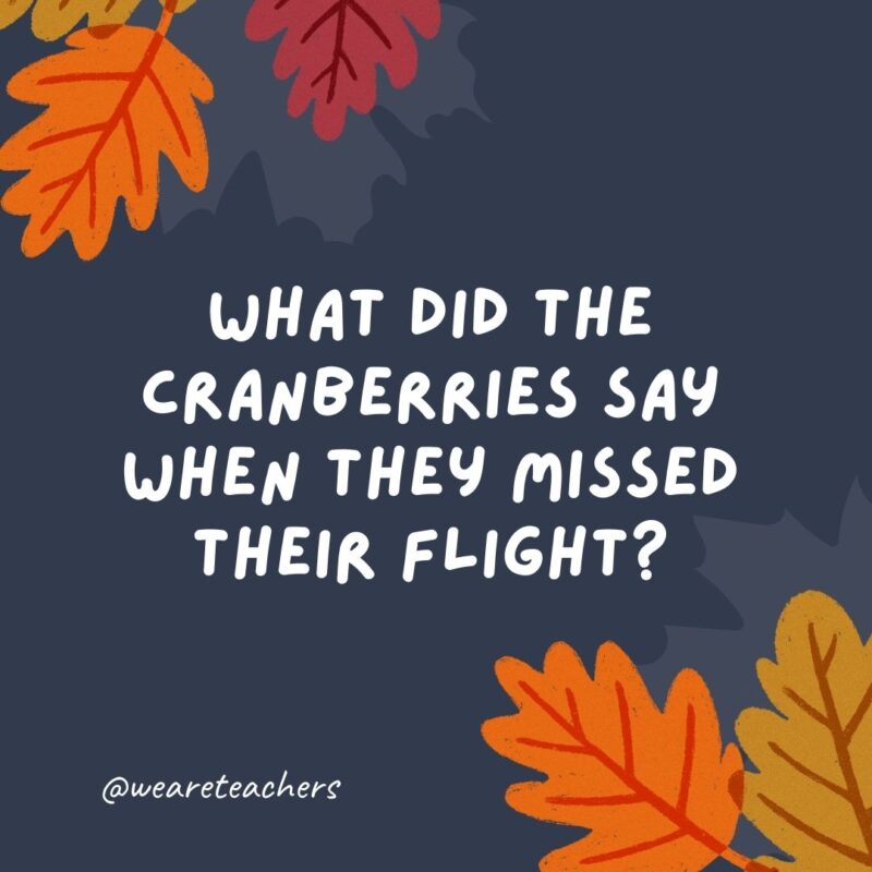 What did the cranberries say when they missed their flight? What did the cranberries say when they missed their flight?