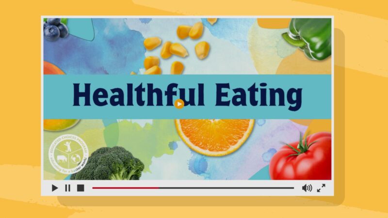 healthful-eating Healthful eating video lesson