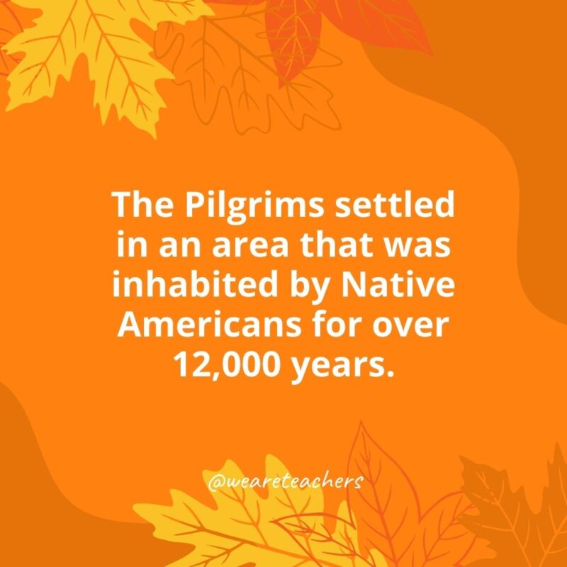 Thanksgiving Facts 1 The Pilgrims settled in an area that was inhabited by Native Americans for over 12,000 years.- Thanksgiving facts