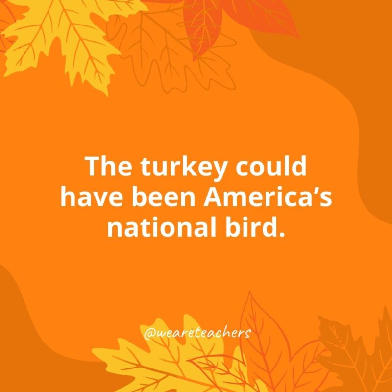 Thanksgiving Facts 10 The turkey could have been America’s national bird.